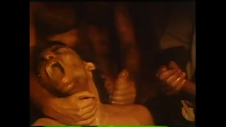 VCA Gay - LA Appliance